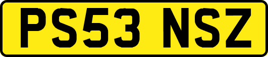 PS53NSZ