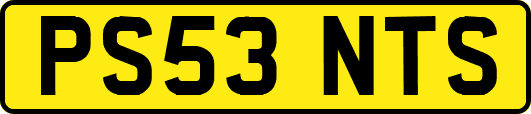 PS53NTS