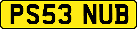 PS53NUB