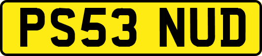 PS53NUD