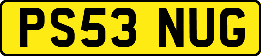 PS53NUG