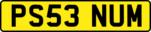 PS53NUM