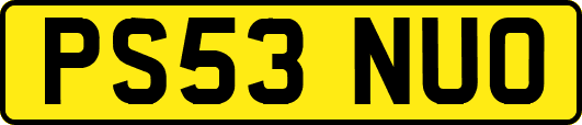 PS53NUO