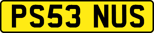 PS53NUS
