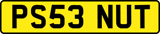 PS53NUT