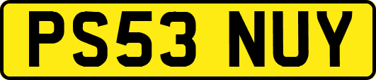 PS53NUY