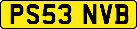 PS53NVB