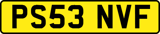 PS53NVF