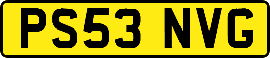 PS53NVG