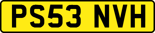 PS53NVH
