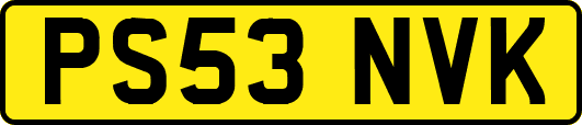 PS53NVK