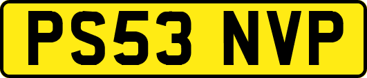 PS53NVP