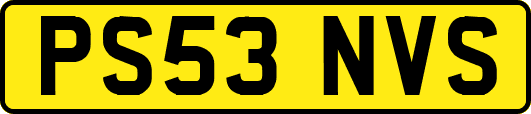 PS53NVS