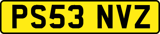 PS53NVZ