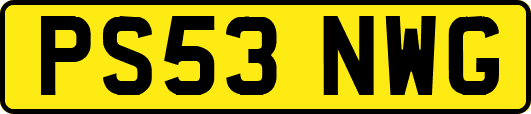 PS53NWG