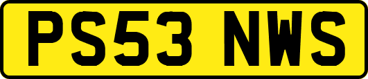 PS53NWS
