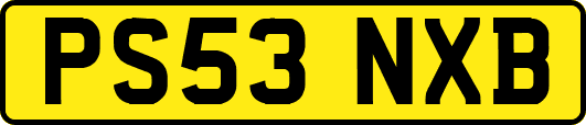 PS53NXB