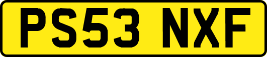 PS53NXF
