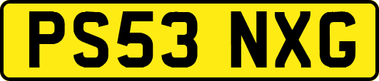 PS53NXG