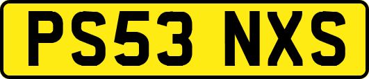 PS53NXS