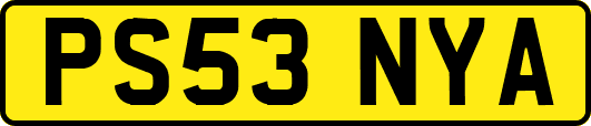 PS53NYA