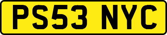 PS53NYC