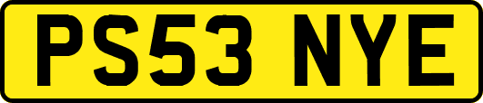PS53NYE