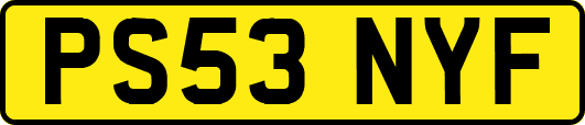 PS53NYF