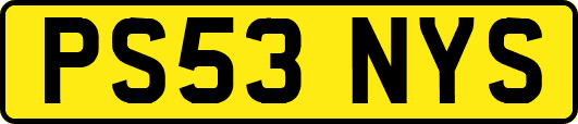 PS53NYS
