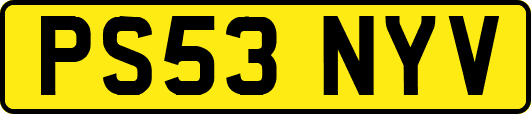 PS53NYV