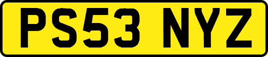 PS53NYZ
