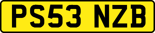 PS53NZB