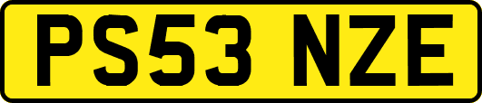PS53NZE