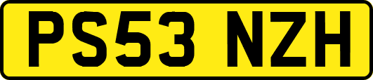 PS53NZH