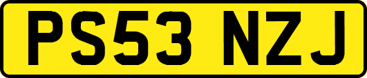 PS53NZJ