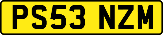PS53NZM