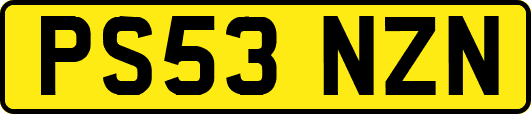 PS53NZN