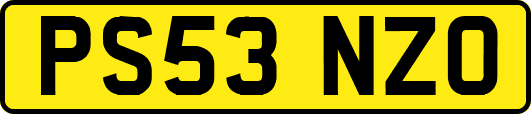 PS53NZO