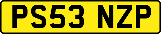 PS53NZP