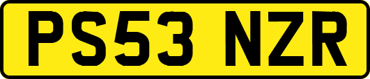 PS53NZR