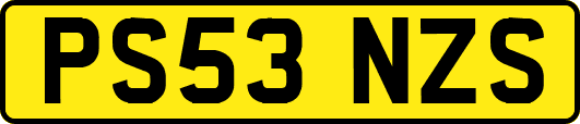 PS53NZS