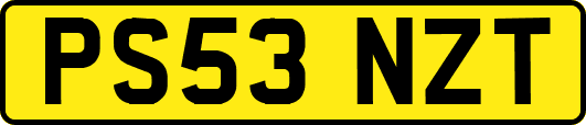 PS53NZT
