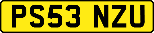 PS53NZU