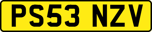 PS53NZV