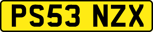 PS53NZX