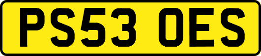 PS53OES
