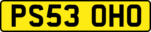 PS53OHO
