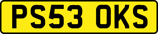 PS53OKS