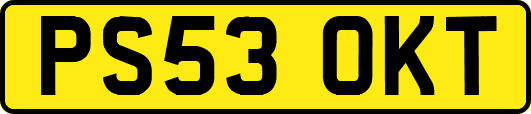 PS53OKT