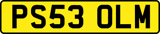 PS53OLM